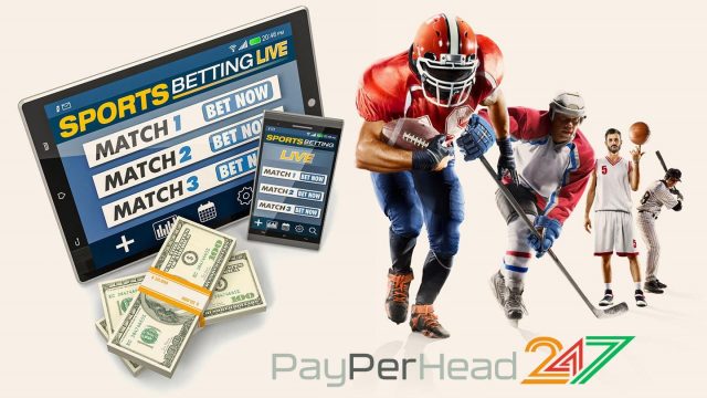 PayPerHead 247 Sports Betting Software