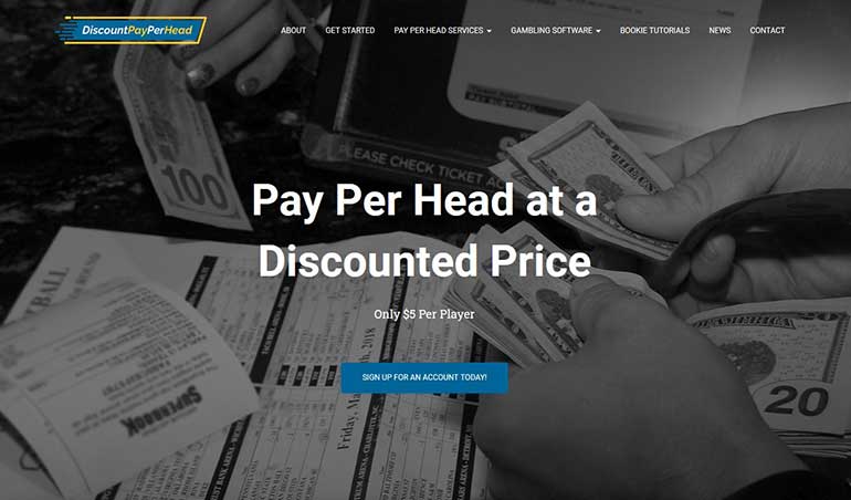 DiscountPayPerHead.com Pay Per Head Review
