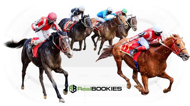 Bookie Softwareat RealBookies